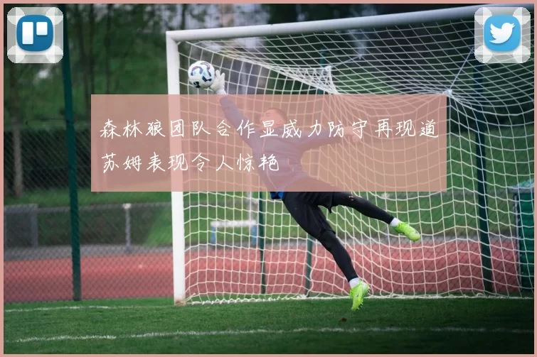 森林狼团队合作显威力防守再现道苏姆表现令人惊艳