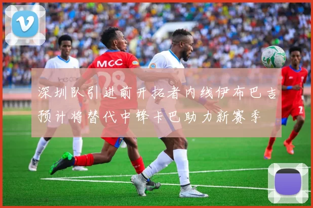 深圳队引进前开拓者内线伊布巴吉预计将替代中锋卡巴助力新赛季