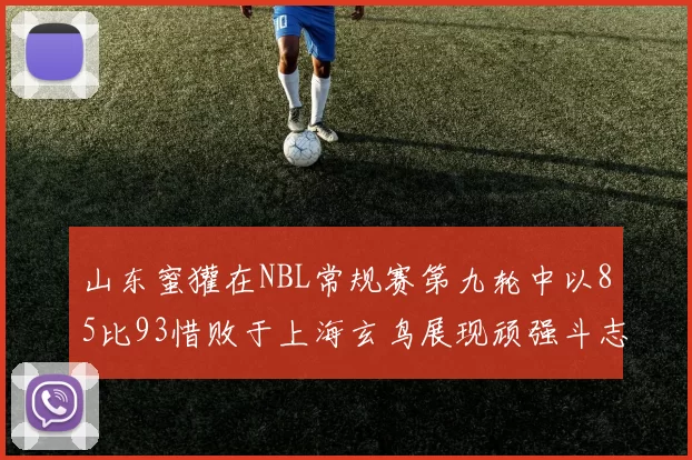 山东蜜獾在NBL常规赛第九轮中以85比93惜败于上海玄鸟展现顽强斗志